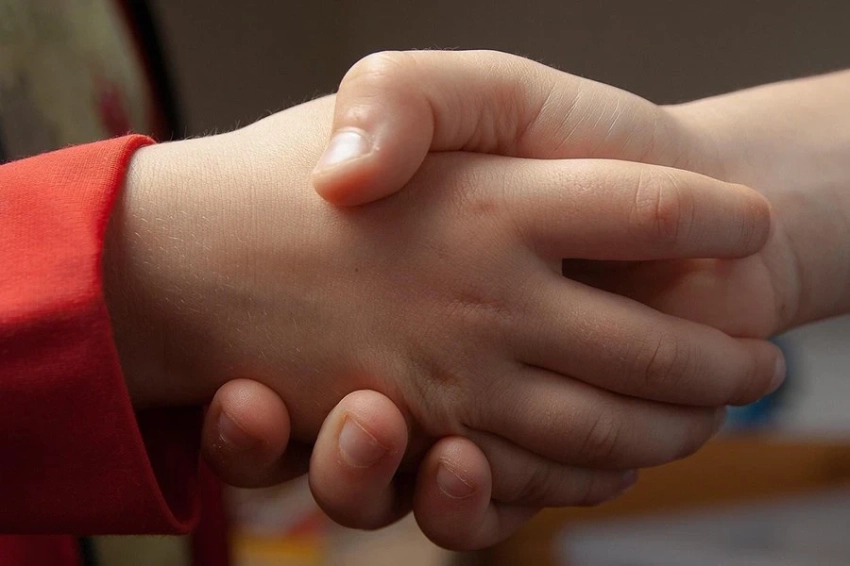 «Похищенные украинские дети» – очередная слезовыжималка для идиотов